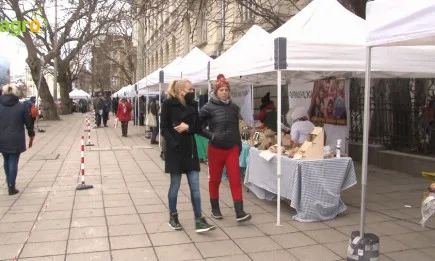 Овче и козе кисело мляко, сирене и ръчен кашкавал с подправки - майстори ги Юлия в семейната ферма в с. Гинци