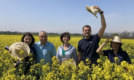 Как да получите добавена стойност от рапицата