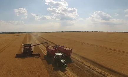 Повечето контракти останаха на червено