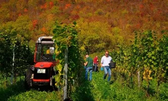 С един месец се удължава срокът за прием на проектни предложения по подмярка 16.1 Подкрепа за сформиране и функциониране на оперативни групи в рамките на ЕПИ от ПРСР (2014-2020 г.)