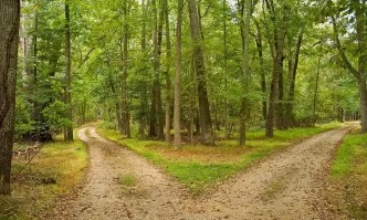 Разглеждат се проектите по мярка 8 от ПРСР