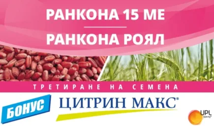 Обеззаразете семената преди сеитба