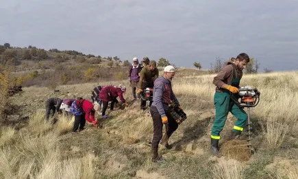 50 000 ФИДАНКИ ЩЕ ЗАЛЕСЯТ СЛУЖИТЕЛИТЕ НА ЮЗДП ПО ПОВОД 10 ГОДИНИ ОТ СЪЗДАВАНЕ НА ПРЕДПРИЯТИЕТО