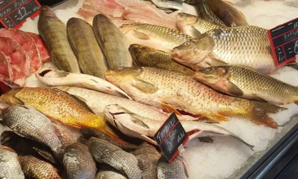 Масирани проверки в търговската мрежа в област Русе