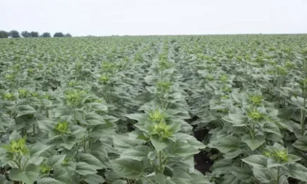 В АГРОФОРУМ: Съюзът на ловците и риболовците отбелязва 140 г. организирано ловно движение в България