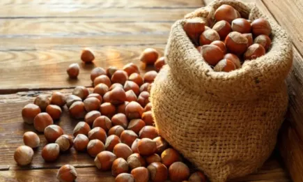 Турция печели близо 1,86 милиарда долара от износ на лешници през 2023 г.