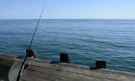 От днес билети за любителски риболов ще се издават САМО през новата информационна система на ИАРА