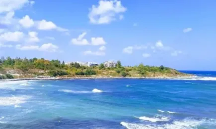 Няма данни за замърсяване в българската акватория на Черно море