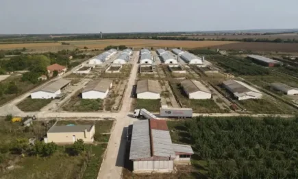 Налице е трайна тенденция за увеличаване на размера на земеделските стопанства в България и средния брой отглеждани животни в тях