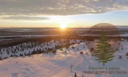 Подарете си коледно настроение и купете елхичка с кауза