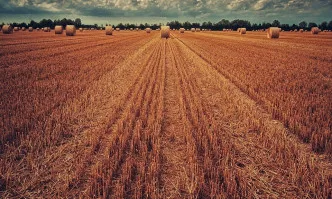 Австралийските фермери са оптимисти за 2021 г.