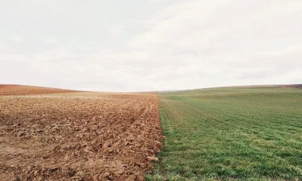 Британските фермери губят повече от 20%