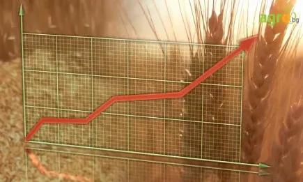 Потенциалът на житните посеви през тази година е сформиран, време е да го запазим!