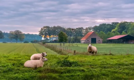 Приемът на проекти по подмярката за млади земеделски стопани продължава до 6 януари