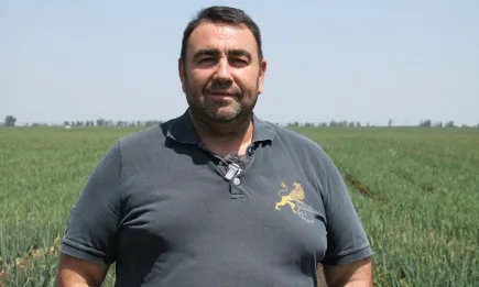 Трихограми ще пазят царевицата на Павел Стоименов от стъблен пробивач