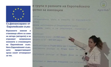 Стратегическият план – интервенции, свързани с иновациите