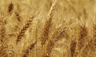 Защо да работим с продуктите на Агрия АД