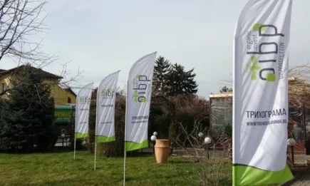 Трихограмата решава проблема преди да е възникнал