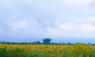 Готов е индикативният график за изплащането на субсидиите