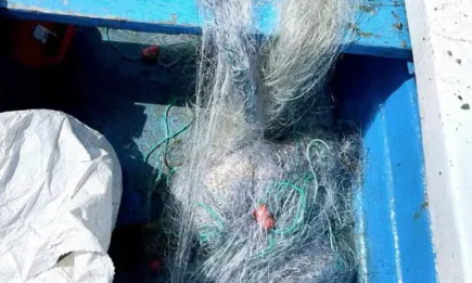 Над 40 кг риба спасиха в язовир