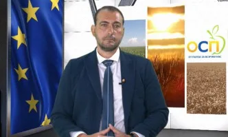 Обвързаното подпомагане на плодове и зеленчуци дава глътка въздух на производителите