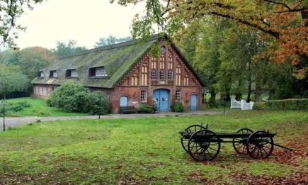 За 15 години в ЕС са изчезнали 5,3 млн. ферми