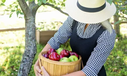 Все по-голям брой жени във френското селско стопанство