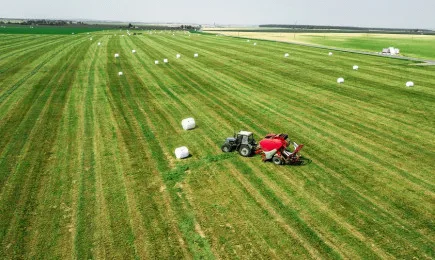 Тон френско сено струва 250 евро