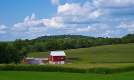 Пак погнаха хитреците, които изяждат субсидиите на честните фермери. И какво от това?
