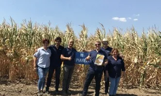 Суфле Агро България - SOUFFLET SEEDS ПЪРВОКЛАСНА ГЕНЕТИКА - съвършено нова селекция, без конкуренция