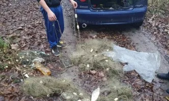 Масирани проверки на територията на сектор Рибарство и аквакултури Плевен