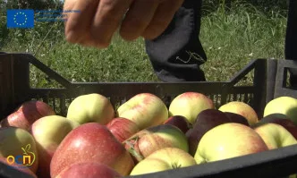 Как да получите по-добри възможности за реализация на продукцията на по-добри цени