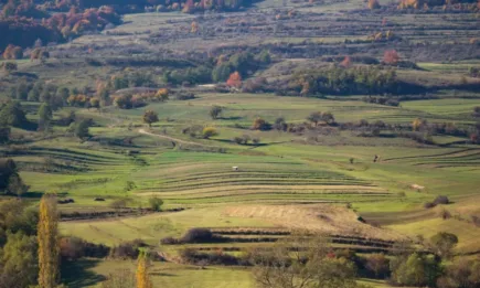 Германските фермери проявяват нисък интерес към екосхемите