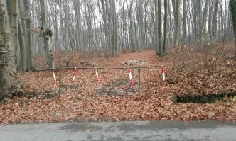 Със заповед на директора на РДГ Бургас е забранен достъпа в териториалния обхват на ДГС Бургас