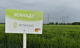 Как с малко средства и качествено да опазим житните и слънчогледа