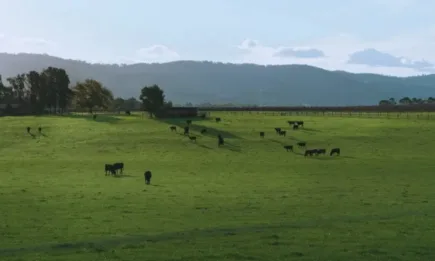 Два португалски биорайона и един италиански са финалисти в европейския биоконкурс