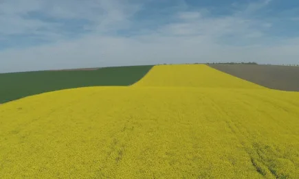 Лебозол с приятни изненади за агросектора