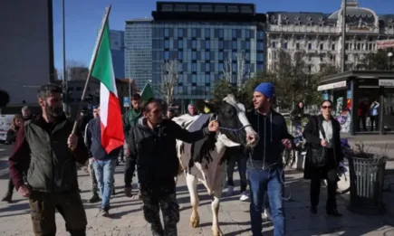 Италиански фермери преведоха стада крави по улиците на Милано