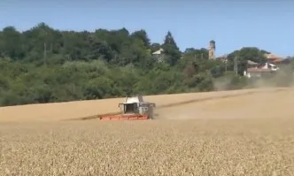 Торовете Лебозол - на почит в полетата на Серафим Цачев