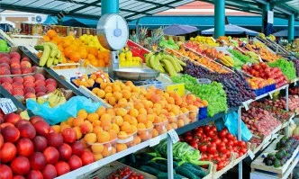 80% от плодовете и зеленчуците у нас - вносни. От бранша в България искат финансиране
