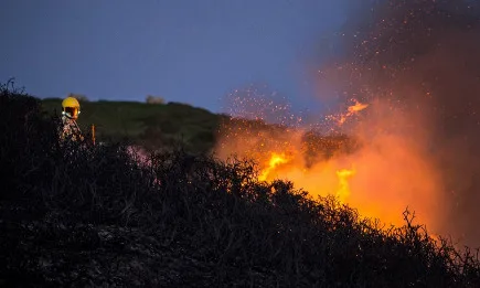 Изготвен е анализ на ситуацията със защитата на горските територии от пожари с предложения за предприемане на конкретни мерки и действия