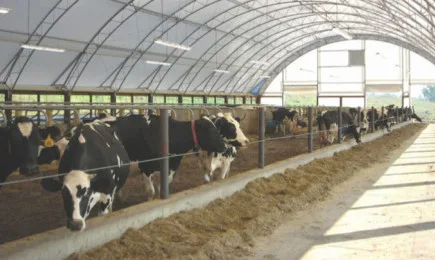 Липсата на свеж паричен ресурс е спънка за малките животновъди да участват с проекти по ПРСР