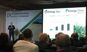 Идват по-добрите решения в слънчоглед и царевица