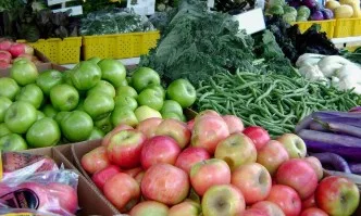 Разпределя се 4 пъти по-голям бюджет за инвестиции в растениевъдството