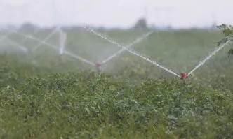 Константина Семерджиева, Организация на производителите на плодове и зеленчуци Фрут Логистик: