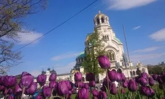 София в центъра на дискусиите на Европейската конференция Зелени градове за устойчива Европа