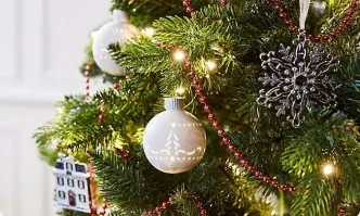 Близо 30 млн. елхи са продадени в Германия