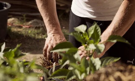 Малките ферми са по-добри за биологичното разнообразие