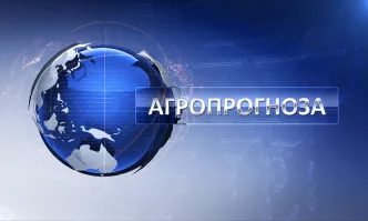 Седмична агрометеорологична прогноза 27.11 - 3.12.2020 г.
