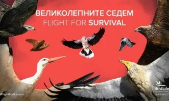 Стартира международна кампания за защита на мигриращите птици: Великолепните седем - Flight for Survival